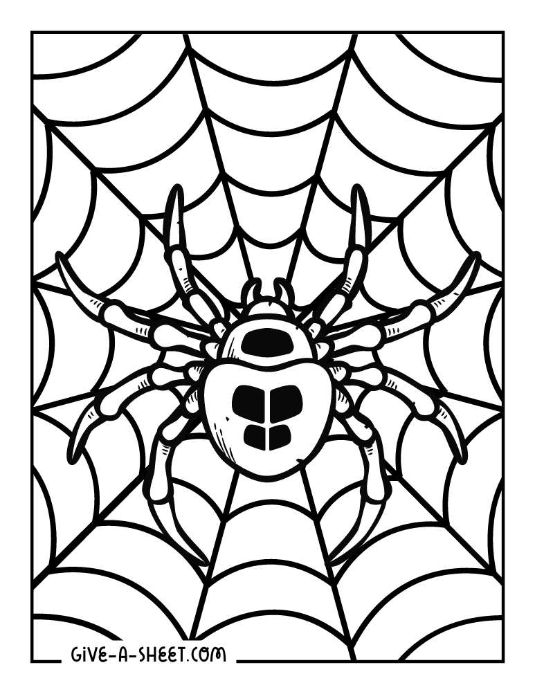 Simple halloween spider coloring sheet.