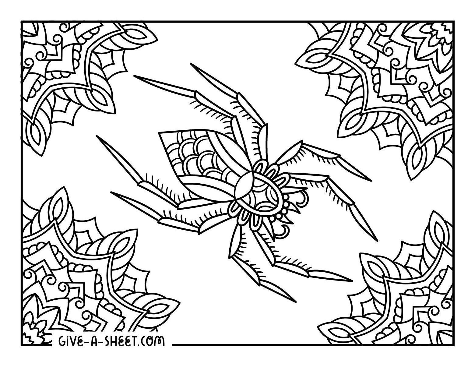 Detailed tarantula mandala coloring page for adults.