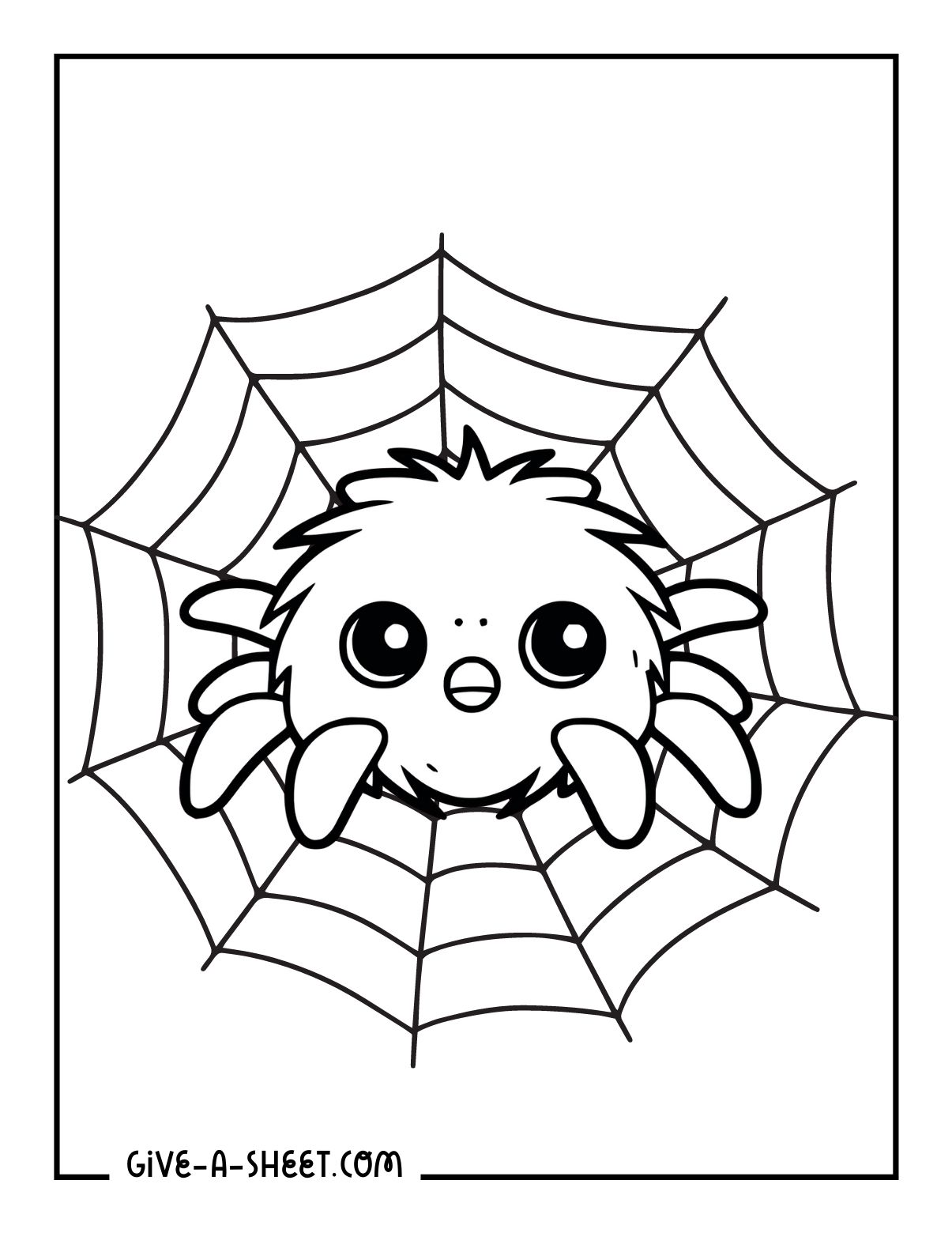 Printable version of the cute baby tarantula coloring page for kids.