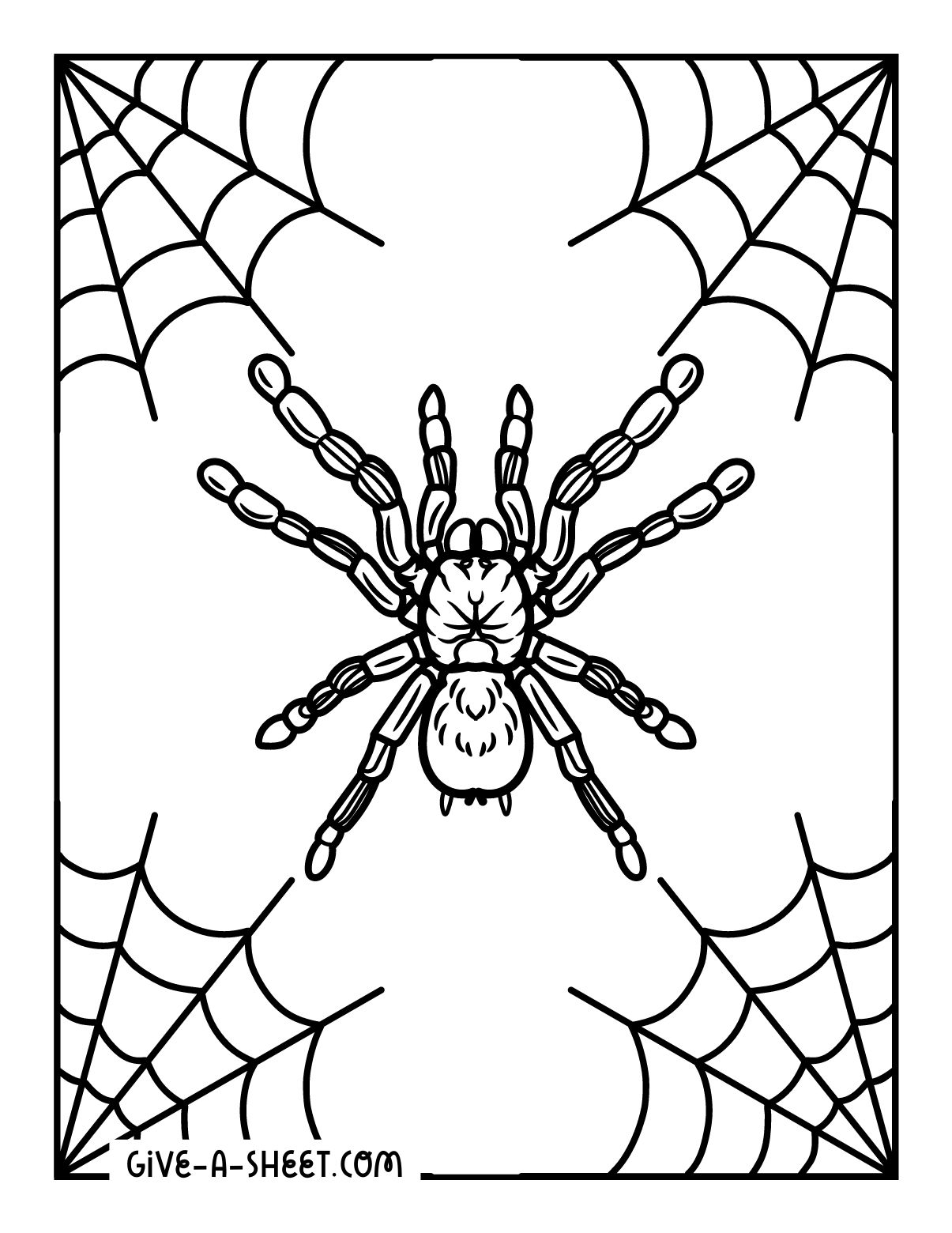 Halloween spider with realistic designs coloring page.