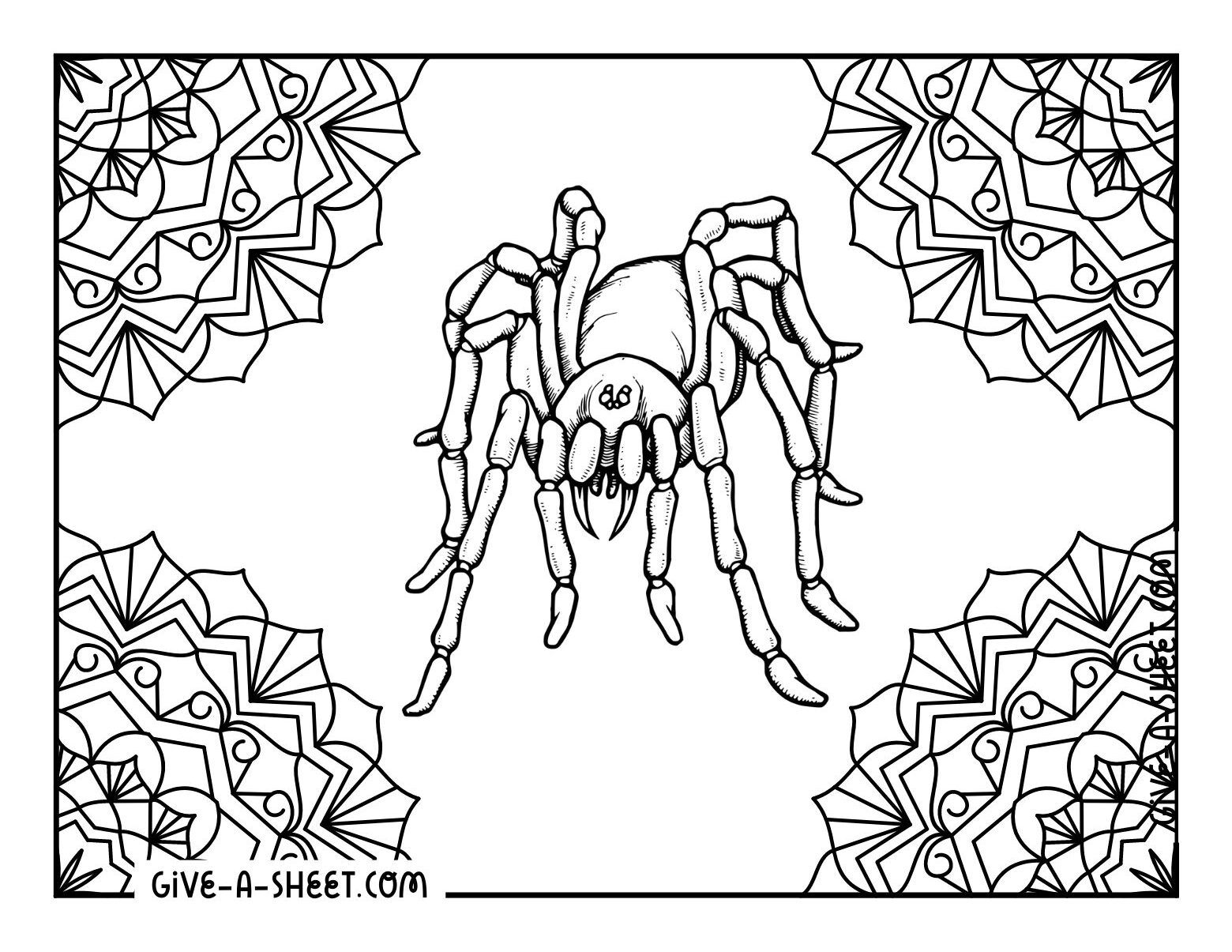 Kawaii tarantula spider coloring sheet.