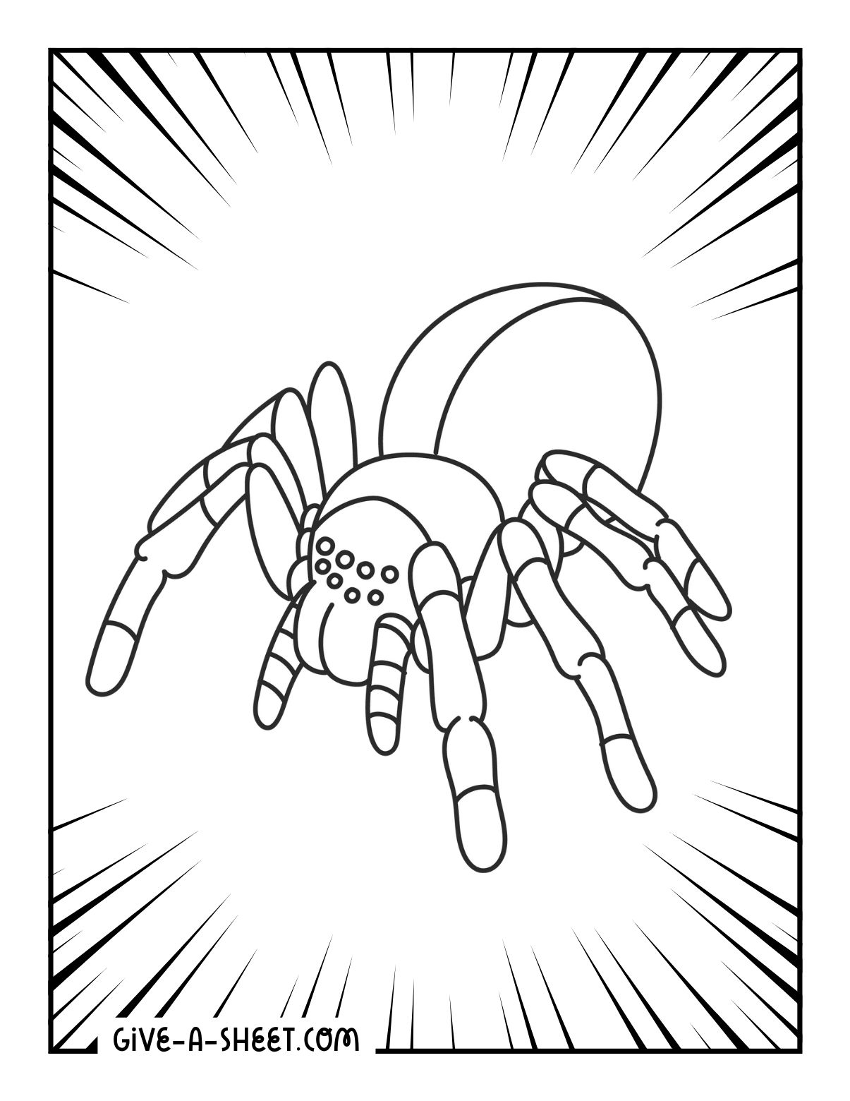 Tarantula on a desert new coloring pages.