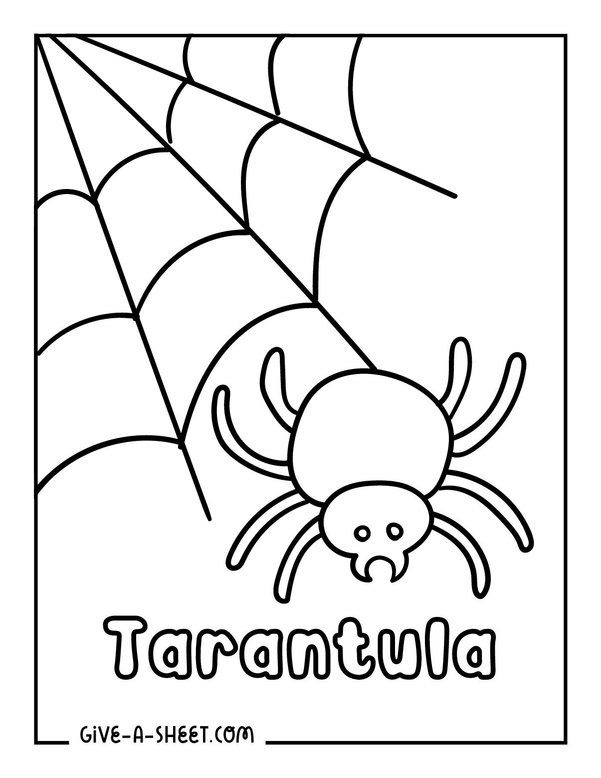Easy tarantula coloring sheets for little kids.