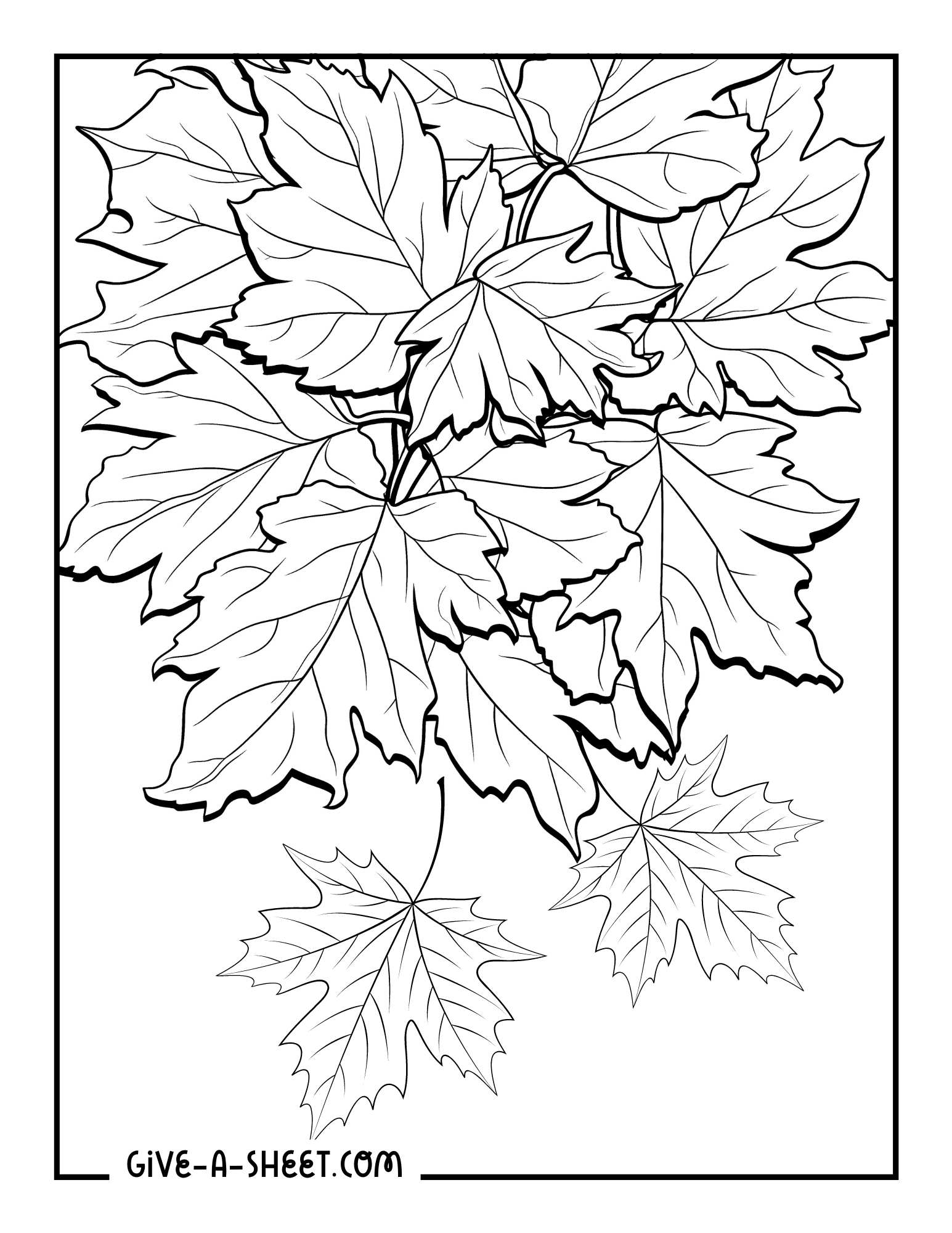 Maple leaf intricate designs coloring page for adults.