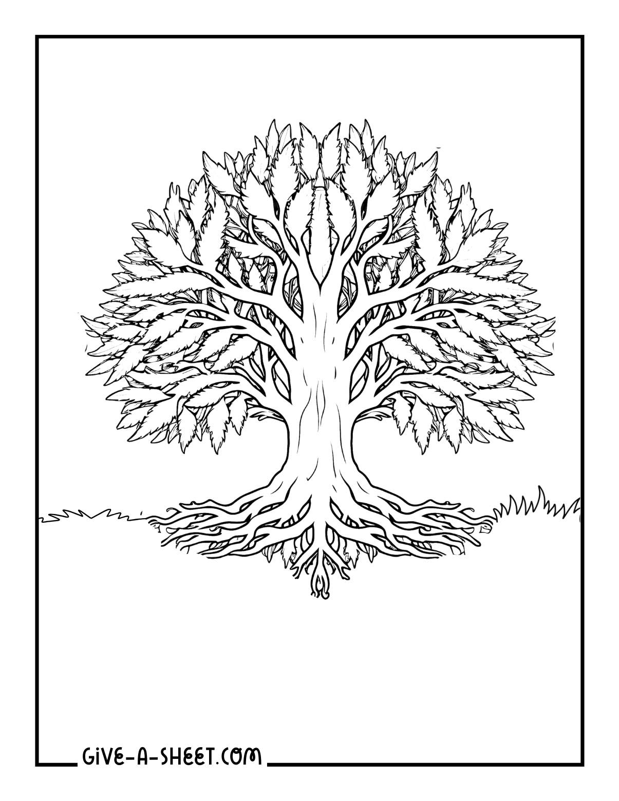 Evergreen trees of life with roots coloring sheet.