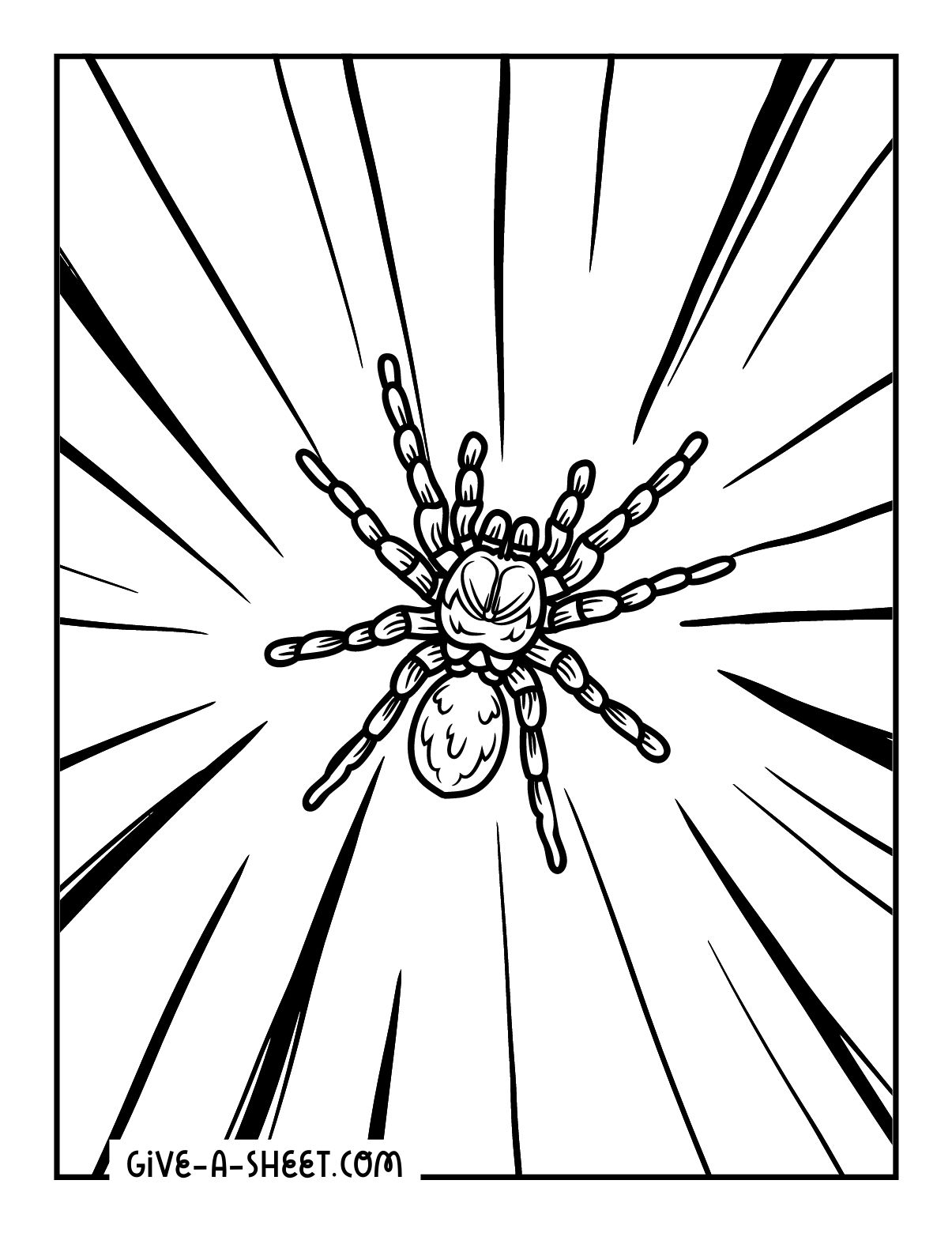 Scary tarantula spider coloring pages for kids.