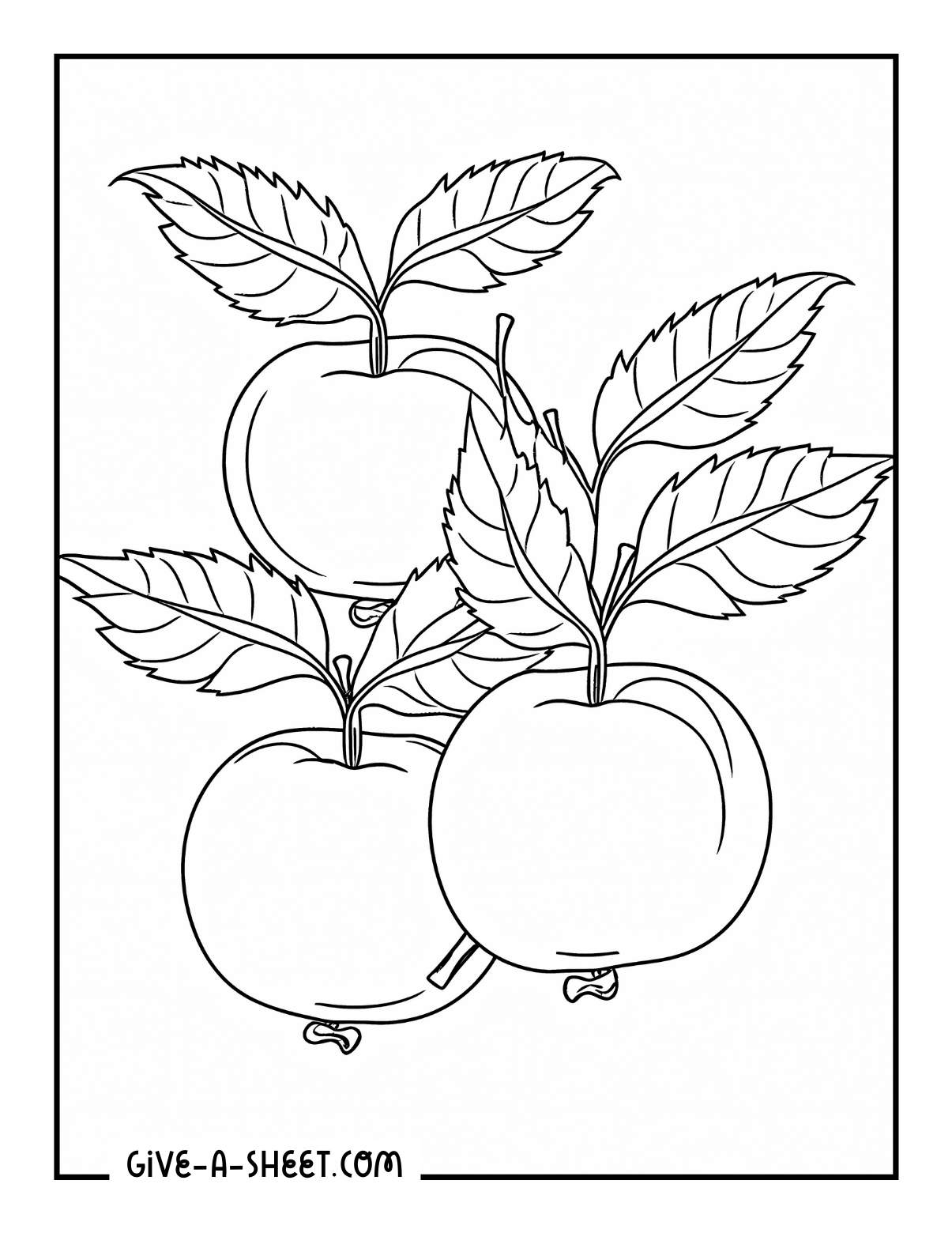 Three apple blossoms outline to color in.