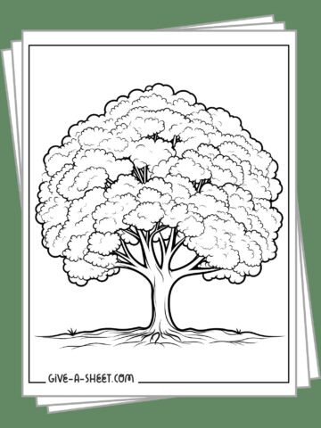 Free printable tree coloring pages.