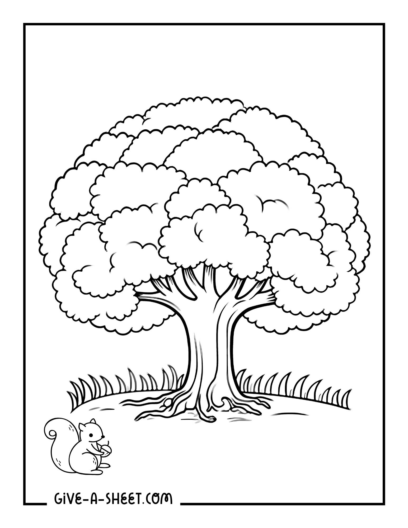 Deciduous tree with thick trunk and squirrel coloring page.