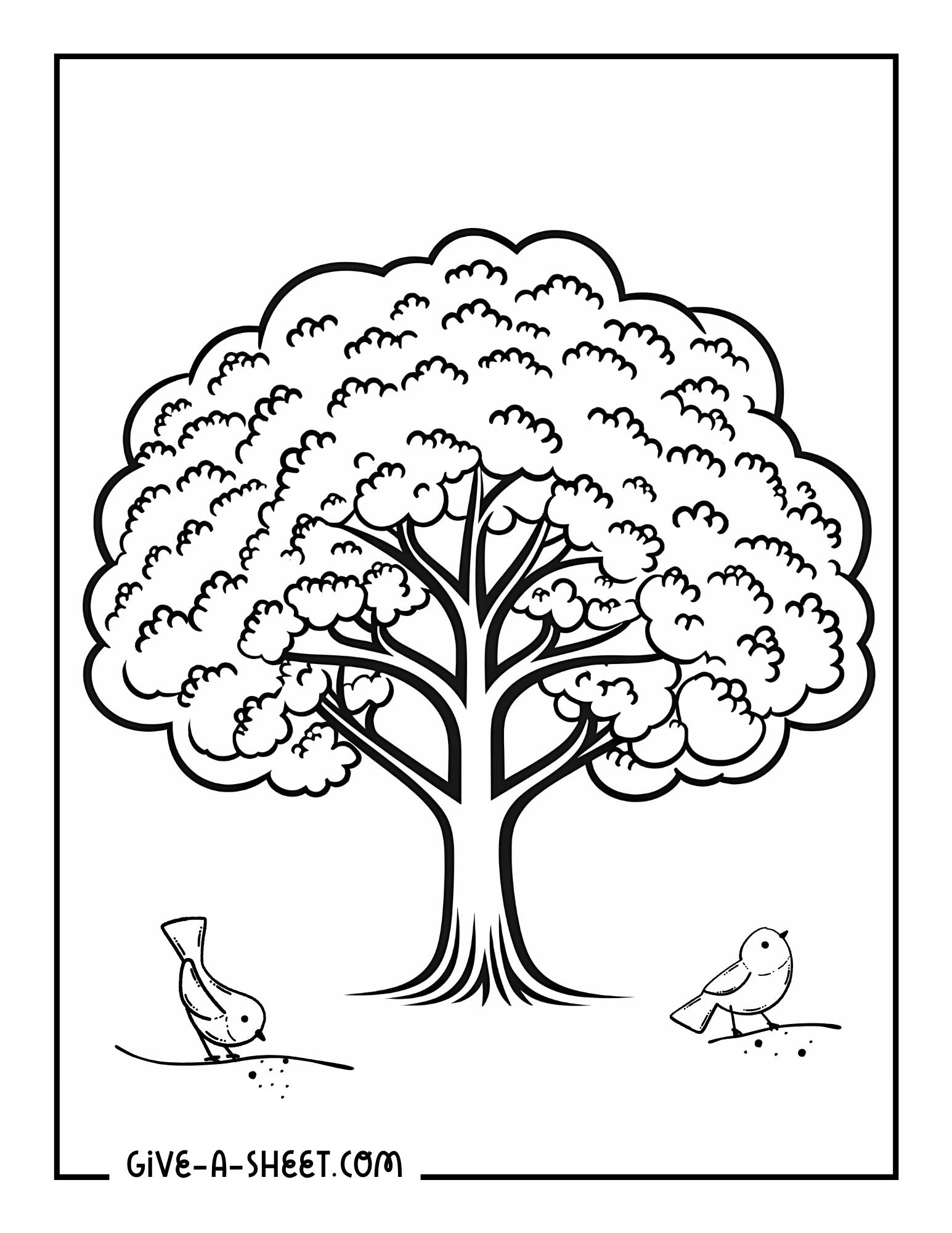 Honey locust tree pictures to color for kids.