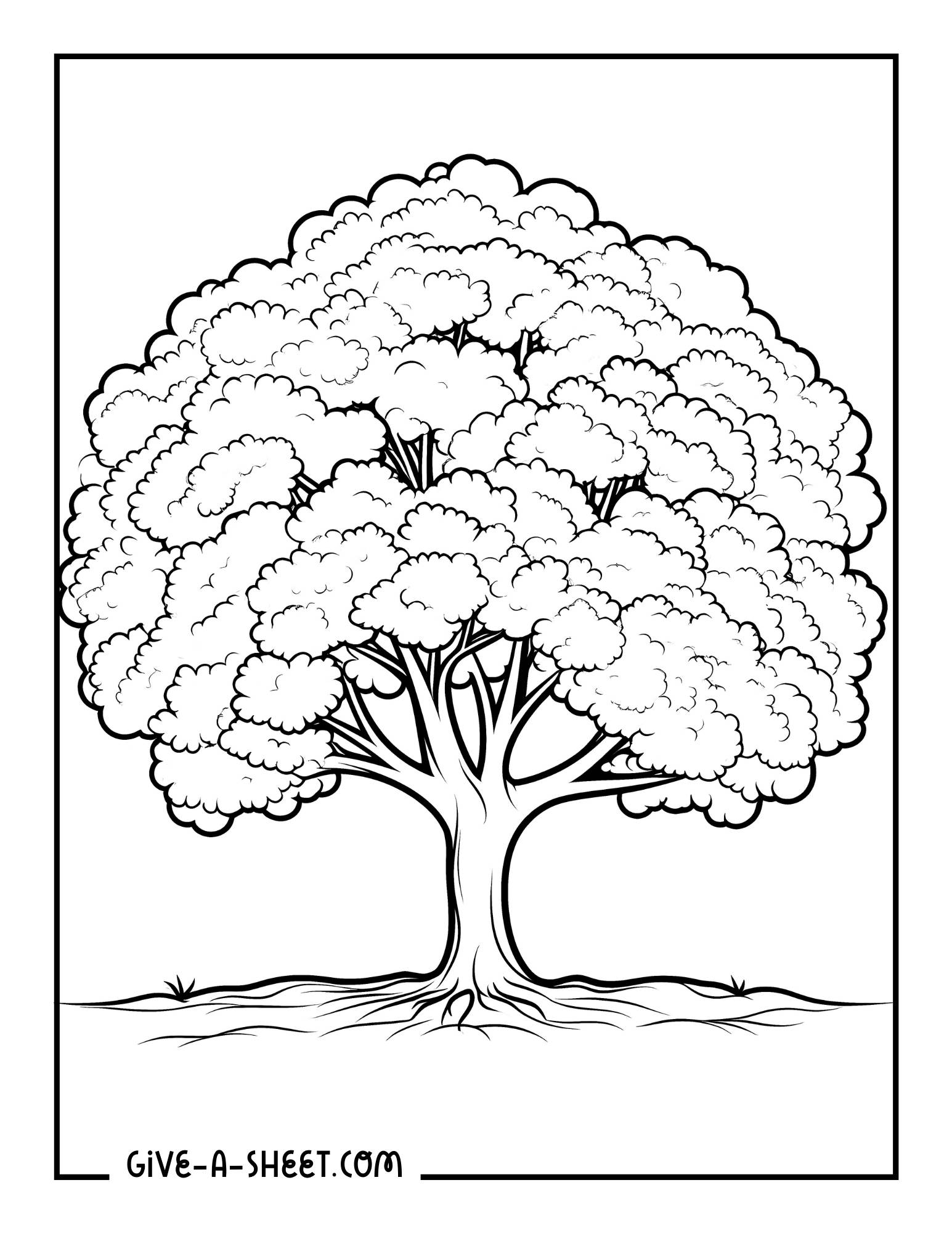 Southern live oak tree coloring page.